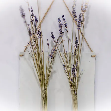 Urbanflora Génova