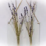 Urbanflora ジェノヴァ